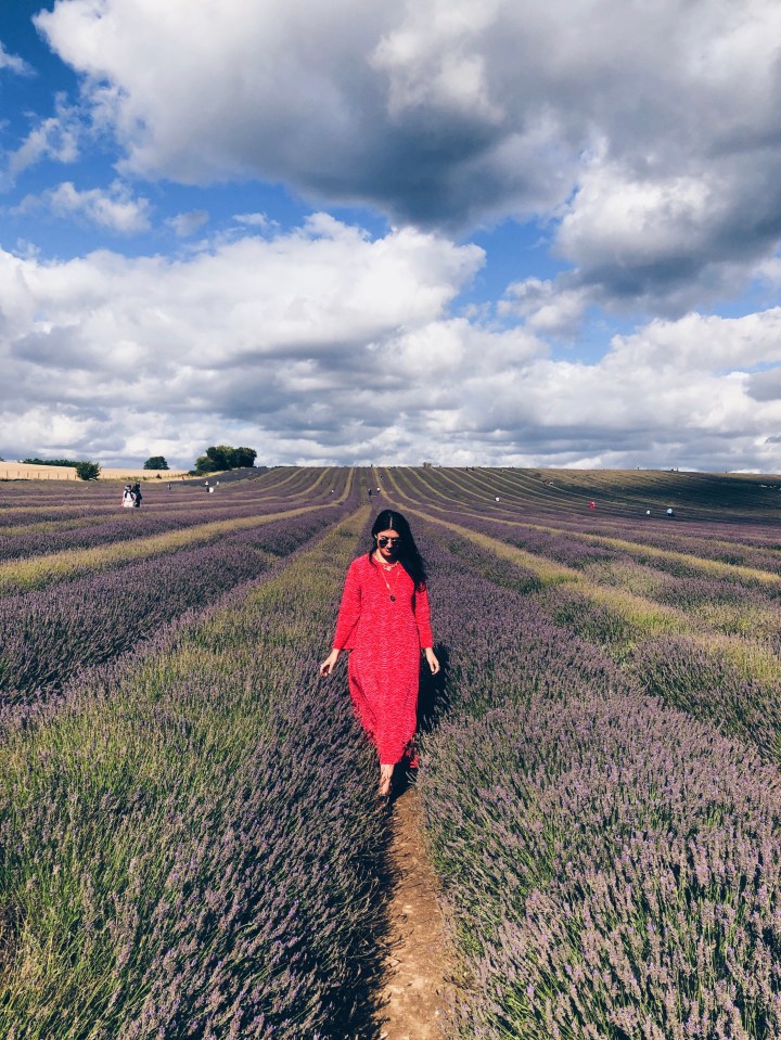 Lavender fields and zenned out bumble&nbsp;bees